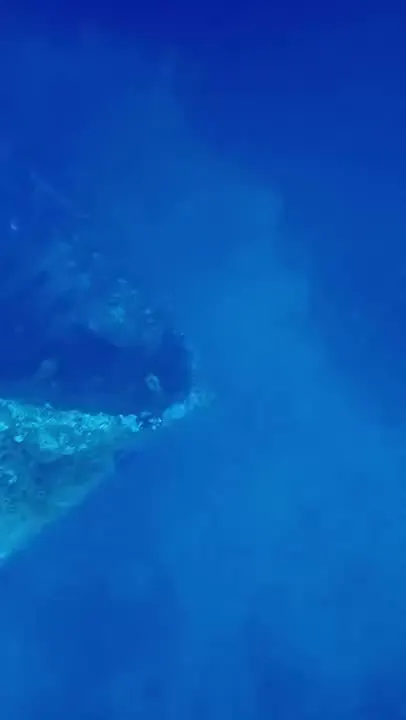 🚢