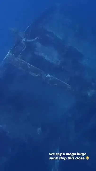 we say a mega huge sunk ship this close 😭