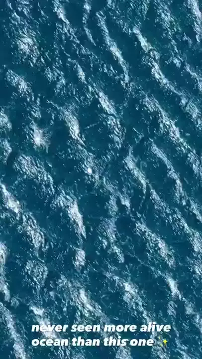 never seen more alive ocean than this one ✨